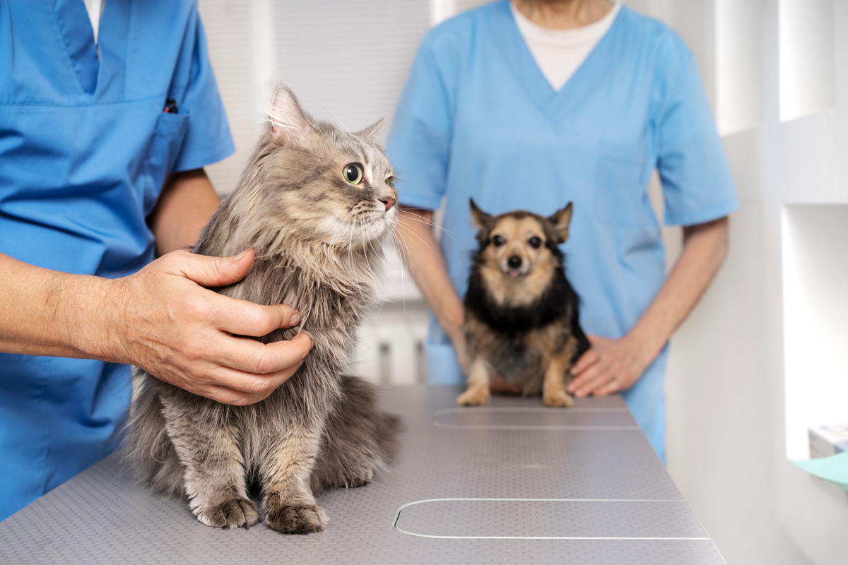 Things to know about  wounds